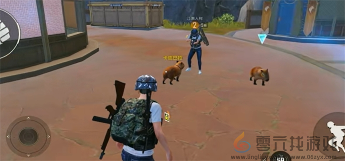 和平精英动物丛林全动物技能介绍(图8) 和平精英动物丛林全动物技能介绍(图8)