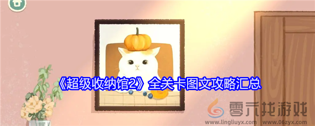 超级收纳馆2全关卡通关攻略解析