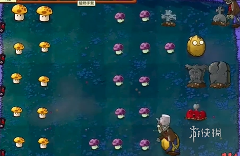 植物大战僵尸抽卡版冒险模式2-2怎么过(图5) 植物大战僵尸抽卡版冒险模式2-2怎么过(图5)
