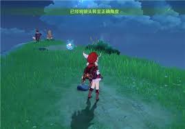 原神鹰翔海滩景色拍摄任务攻略(图2) 原神鹰翔海滩景色拍摄任务攻略(图2)