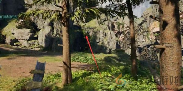 宣誓可怕的猫科护裆藏宝图获取方法分享(图9) 宣誓可怕的猫科护裆藏宝图获取方法分享(图9)