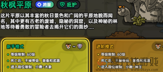 英勇之地狂猪族长在哪(图3)